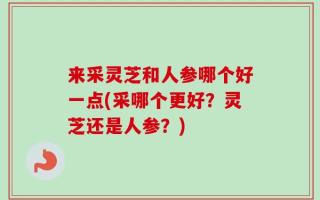 来采灵芝和人参哪个好一点(采哪个更好？灵芝还是人参？)