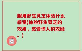 服用野生灵芝体验什么感受(体验野生灵芝的效果，感受惊人的效能。)