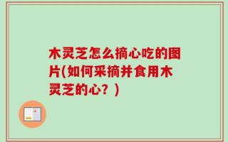 木灵芝怎么摘心吃的图片(如何采摘并食用木灵芝的心？)