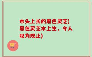 木头上长的黑色灵芝(黑色灵芝木上生，令人叹为观止)