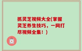 抓灵芝视频大全(掌握灵芝养生技巧，一网打尽视频全集！)