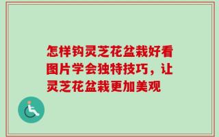 怎样钩灵芝花盆栽好看图片学会独特技巧，让灵芝花盆栽更加美观