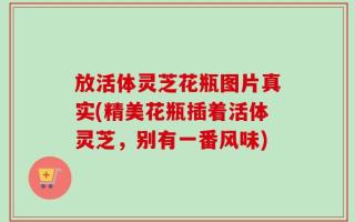 放活体灵芝花瓶图片真实(精美花瓶插着活体灵芝，别有一番风味)