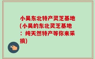 小吴东北特产灵芝基地(小吴的东北灵芝基地：纯天然特产等你来采摘)