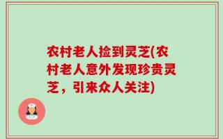 农村老人捡到灵芝(农村老人意外发现珍贵灵芝，引来众人关注)