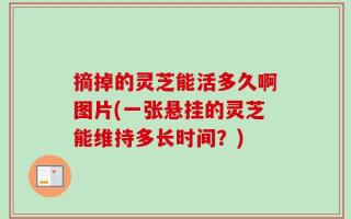 摘掉的灵芝能活多久啊图片(一张悬挂的灵芝能维持多长时间？)