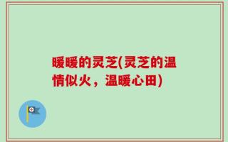 暖暖的灵芝(灵芝的温情似火，温暖心田)