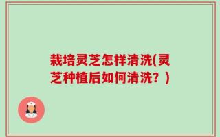 栽培灵芝怎样清洗(灵芝种植后如何清洗？)
