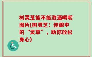 树灵芝能不能泡酒喝呢图片(树灵芝：佳酿中的“灵草”，助你放松身心)