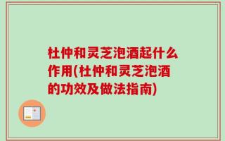 杜仲和灵芝泡酒起什么作用(杜仲和灵芝泡酒的功效及做法指南)