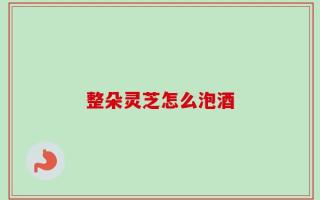 整朵灵芝怎么泡酒