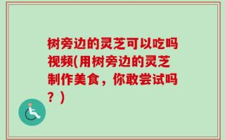 树旁边的灵芝可以吃吗视频(用树旁边的灵芝制作美食，你敢尝试吗？)