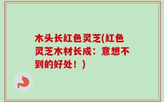 木头长红色灵芝(红色灵芝木材长成：意想不到的好处！)