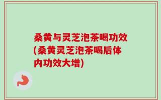 桑黄与灵芝泡茶喝功效(桑黄灵芝泡茶喝后体内功效大增)