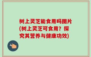树上灵芝能食用吗图片(树上灵芝可食用？探究其营养与健康功效)