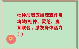 杜仲加灵芝加鹿茸作用功效(杜仲、灵芝、鹿茸联合，激发身体活力！)