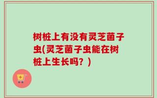 树桩上有没有灵芝菌子虫(灵芝菌子虫能在树桩上生长吗？)
