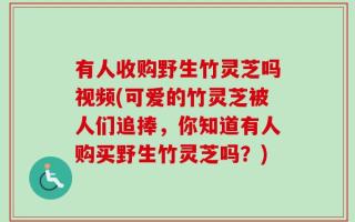 有人收购野生竹灵芝吗视频(可爱的竹灵芝被人们追捧，你知道有人购买野生竹灵芝吗？)