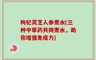 枸杞灵芝人参煮水(三种中草药共同煮水，助你增强免疫力)