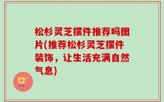松杉灵芝摆件推荐吗图片(推荐松杉灵芝摆件装饰，让生活充满自然气息)