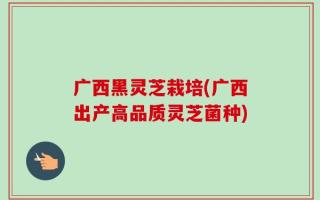 广西黑灵芝栽培(广西出产高品质灵芝菌种)