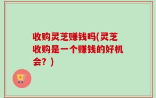 收购灵芝赚钱吗(灵芝收购是一个赚钱的好机会？)