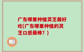 广东哪里种植灵芝最好吃(广东哪里种植的灵芝口感最棒？)