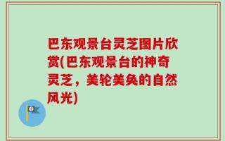 巴东观景台灵芝图片欣赏(巴东观景台的神奇灵芝，美轮美奂的自然风光)