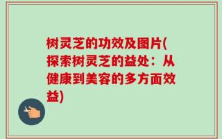 树灵芝的功效及图片(探索树灵芝的益处：从健康到美容的多方面效益)