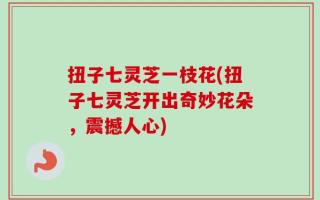 扭子七灵芝一枝花(扭子七灵芝开出奇妙花朵，震撼人心)