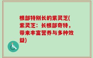 根部特别长的紫灵芝(紫灵芝：长根部奇特，带来丰富营养与多种效益)