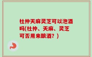 杜仲天麻灵芝可以泡酒吗(杜仲、天麻、灵芝可否用来酿酒？)