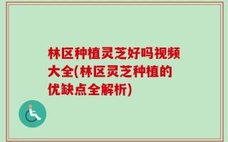 林区种植灵芝好吗视频大全(林区灵芝种植的优缺点全解析)