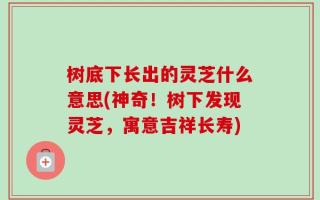 树底下长出的灵芝什么意思(神奇！树下发现灵芝，寓意吉祥长寿)