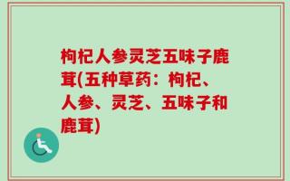 枸杞人参灵芝五味子鹿茸(五种草药：枸杞、人参、灵芝、五味子和鹿茸)