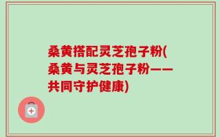 桑黄搭配灵芝孢子粉(桑黄与灵芝孢子粉——共同守护健康)