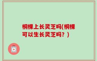 桐棵上长灵芝吗(桐棵可以生长灵芝吗？)