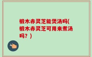 椴木赤灵芝能煲汤吗(椴木赤灵芝可用来煮汤吗？)