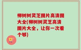 柳树树灵芝图片高清图大全(柳树树灵芝高清图片大全，让你一次看个够)