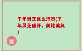 千年灵芝这么漂亮(千年灵芝盛开，美轮美奂)