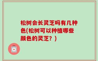 松树会长灵芝吗有几种色(松树可以种植哪些颜色的灵芝？)