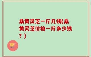 桑黄灵芝一斤几钱(桑黄灵芝价格一斤多少钱？)