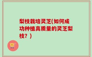 梨枝栽培灵芝(如何成功种植高质量的灵芝梨枝？)