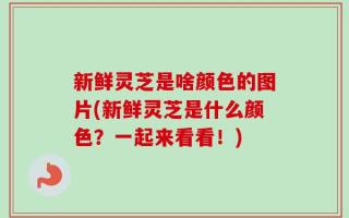 新鲜灵芝是啥颜色的图片(新鲜灵芝是什么颜色？一起来看看！)