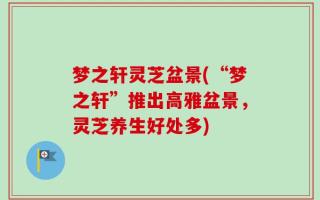 梦之轩灵芝盆景(“梦之轩”推出高雅盆景，灵芝养生好处多)