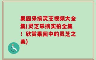 果园采摘灵芝视频大全集(灵芝采摘实拍全集！欣赏果园中的灵芝之美)