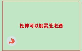 杜仲可以加灵芝泡酒