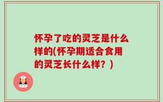 怀孕了吃的灵芝是什么样的(怀孕期适合食用的灵芝长什么样？)