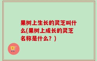 果树上生长的灵芝叫什么(果树上成长的灵芝名称是什么？)