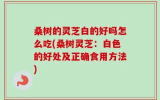 桑树的灵芝白的好吗怎么吃(桑树灵芝：白色的好处及正确食用方法)